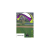 lime/purple
