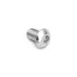 F100/F163-Parafuso 8 x 10mm (Cód: F-163)