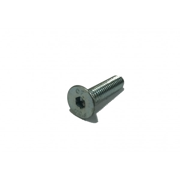 F100/F033-Parafuso 5 x 10mm (Cód: F-033)