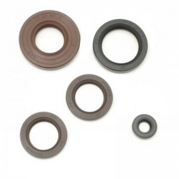 928.065.001-Kit de Retentores Polini Thor 130 Evo ...