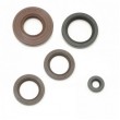 928.065.005-Kit de Retentor (Cód: )