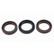 928.065.002-Kit de Retentores Polini Thor 250 (Cód: )