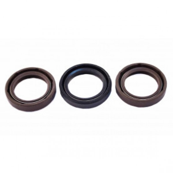 928.065.002-Kit de Retentores Polini Thor 250 (Cód: )